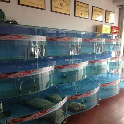 東莞黃江海鮮缸定制及養(yǎng)殖技術指南