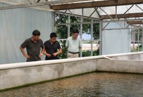 北京水產(chǎn)技術(shù)推廣站開展循環(huán)水養(yǎng)殖試驗(yàn)與水質(zhì)改良劑研發(fā)