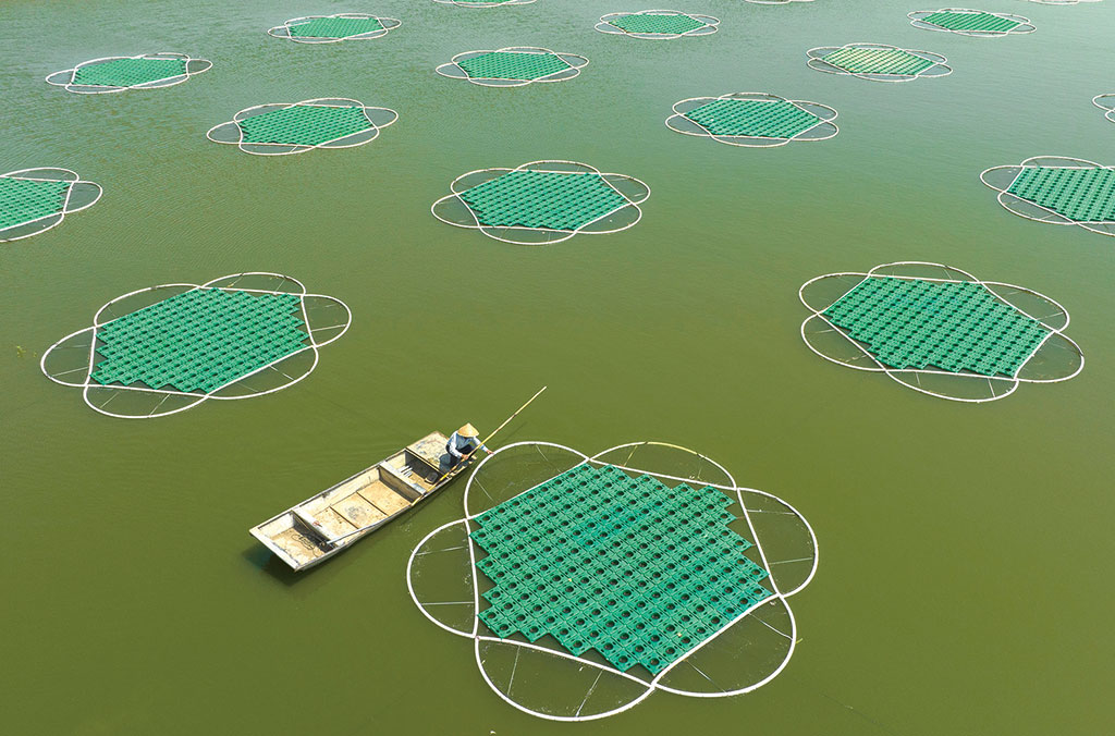 安徽省來(lái)安縣家得樂(lè)百貨超市銷售不合格食品被罰款9964元